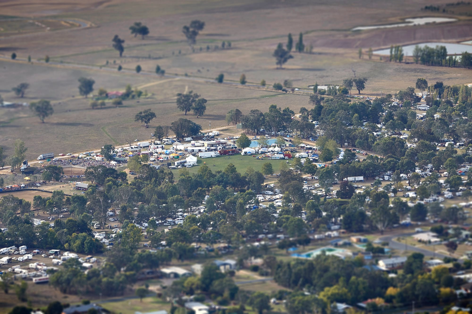 Bush festival will go ahead under 'covid' conditions